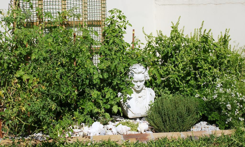Le Marina B&B Velddrif Εξωτερικό φωτογραφία