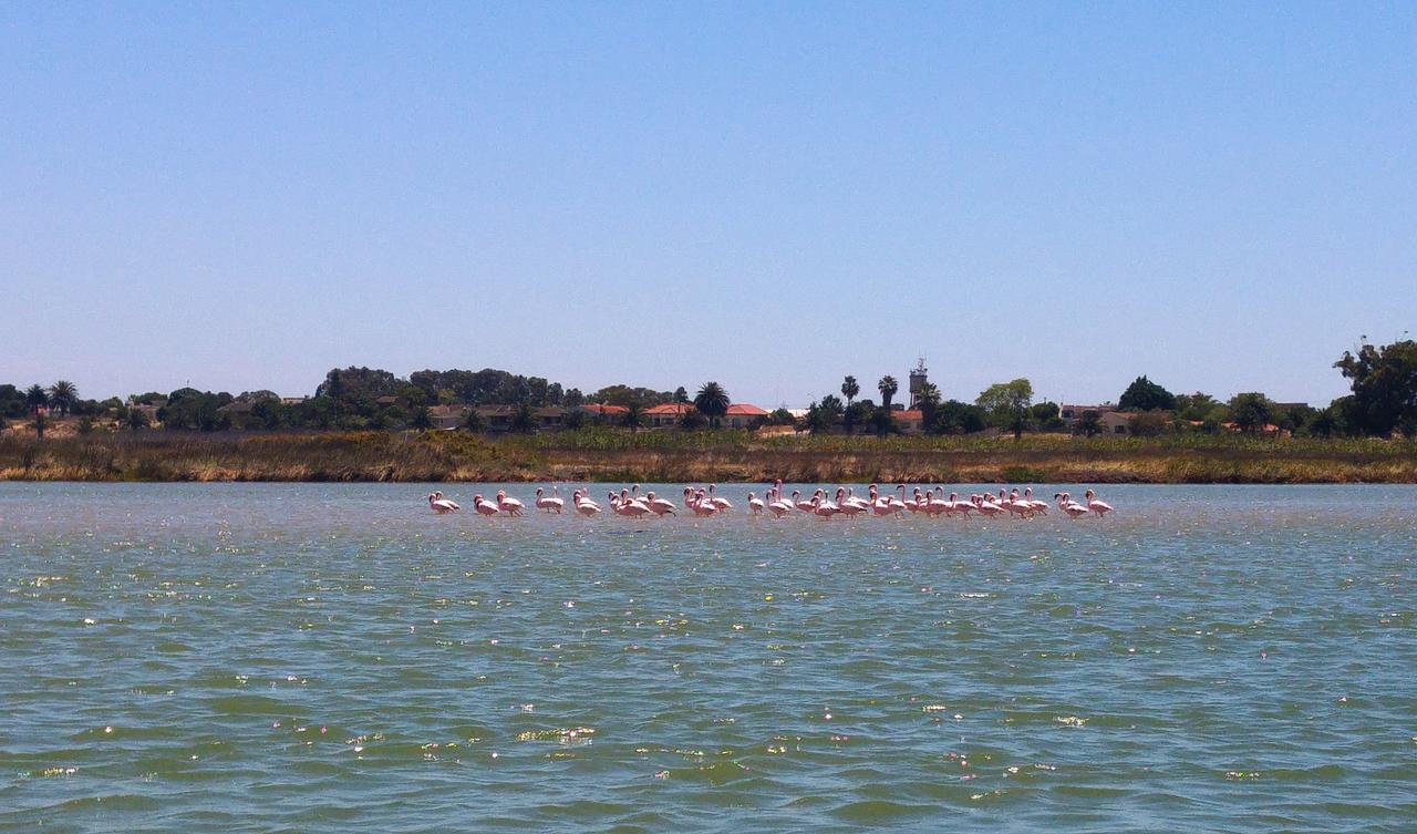 Le Marina B&B Velddrif Εξωτερικό φωτογραφία